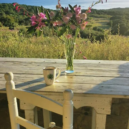Lodge Bolonia Beach Cottage