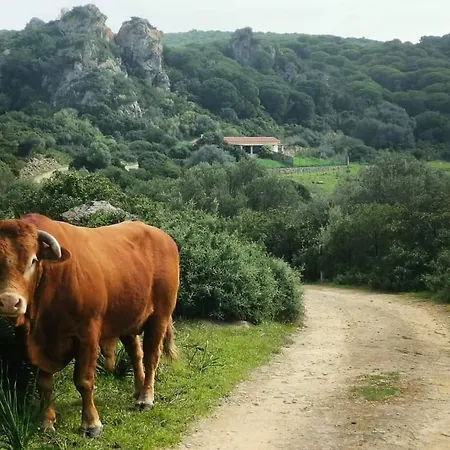 Bolonia Beach Cottage Lodge *
