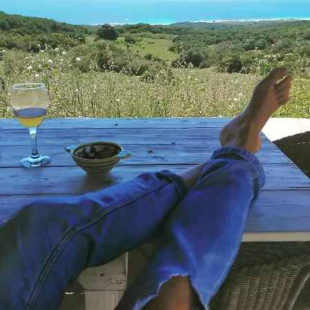 Lodge Bolonia Beach Cottage *